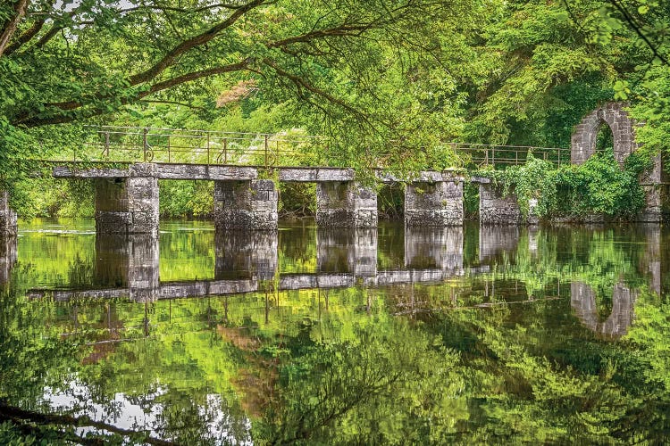 Cong Abbey - West Ireland by Mark Paulda wall art