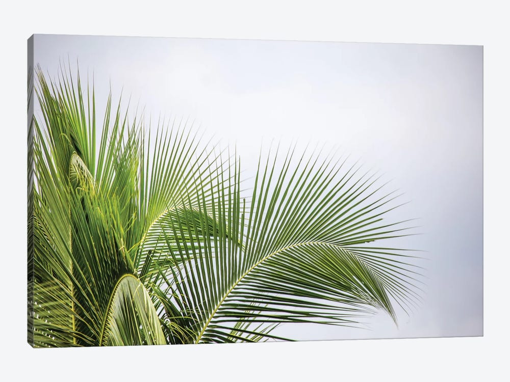 Paintings canvas photo print ship sea palm trees 30 ways 3992 