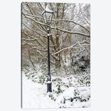 London Snow Canvas Print #PAU191} by Mark Paulda Art Print