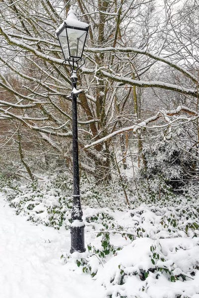 England: London Snow by Mark Paulda