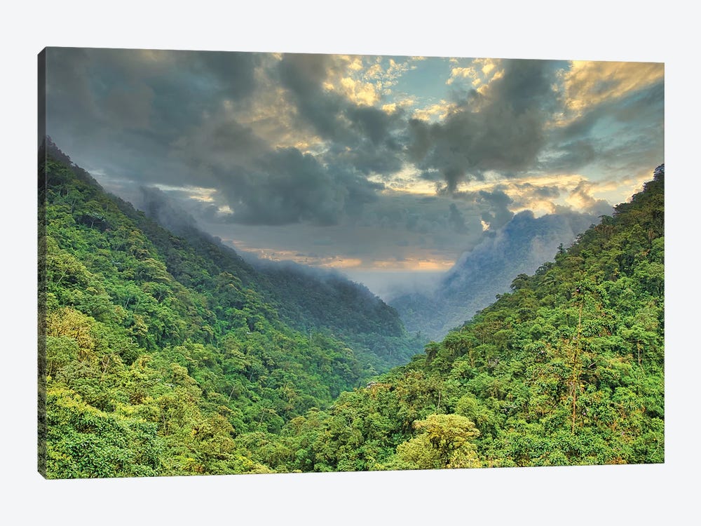 Andes Mountain Storm by Mark Paulda 1-piece Canvas Artwork