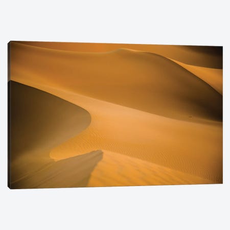 Sahara Desert XXV Canvas Print #PAU20} by Mark Paulda Art Print