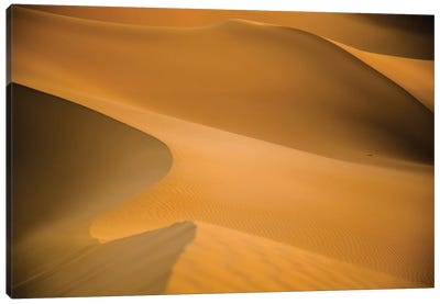 Sahara Desert XXV Canvas Art Print - Mark Paulda
