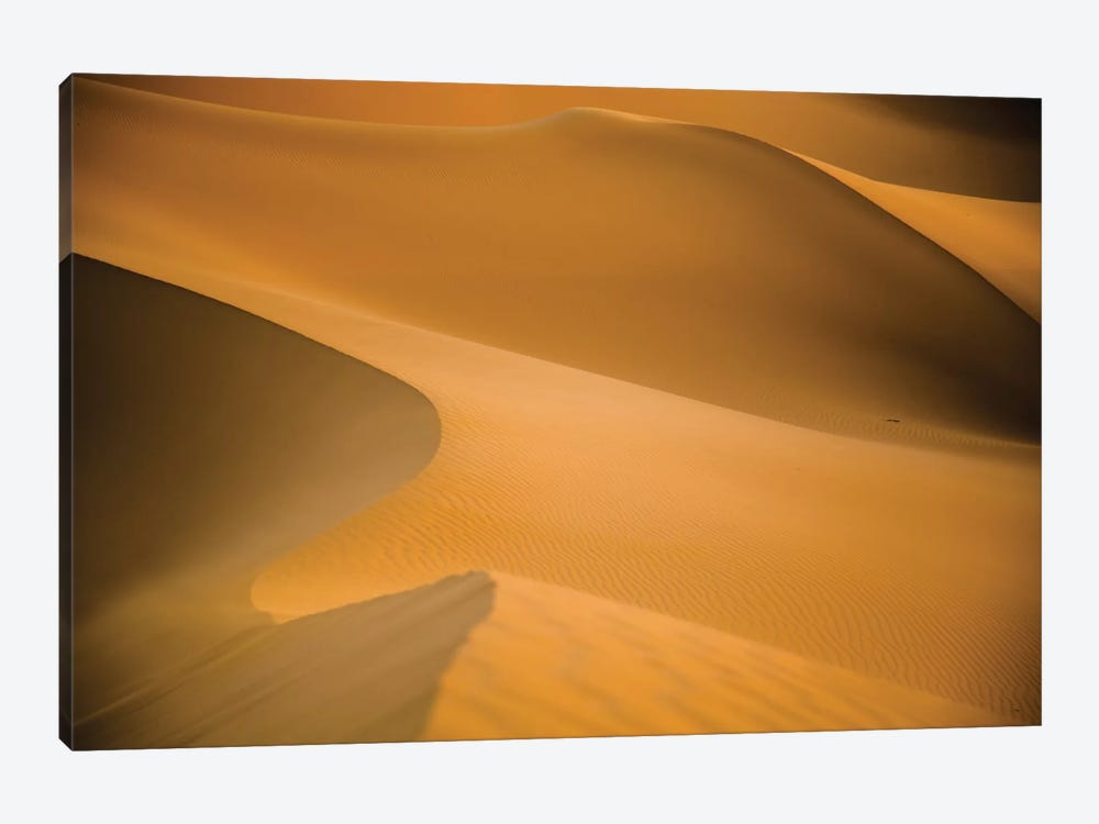 Sahara Desert XXV by Mark Paulda 1-piece Canvas Print