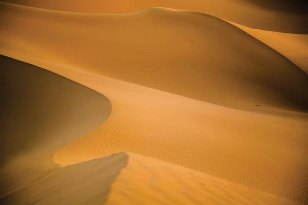 Africa: Sahara Desert XXV by Mark Paulda