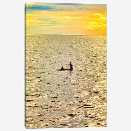Dolphins In The Maldives Canvas Print #PAU215} by Mark Paulda Canvas Art Print