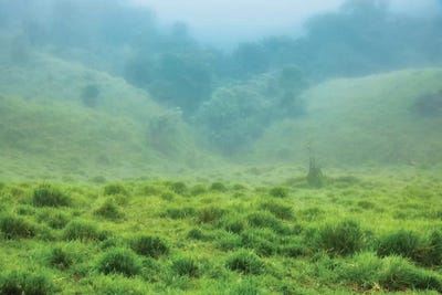Ecuador Cloud Forest by Mark Paulda canvas print