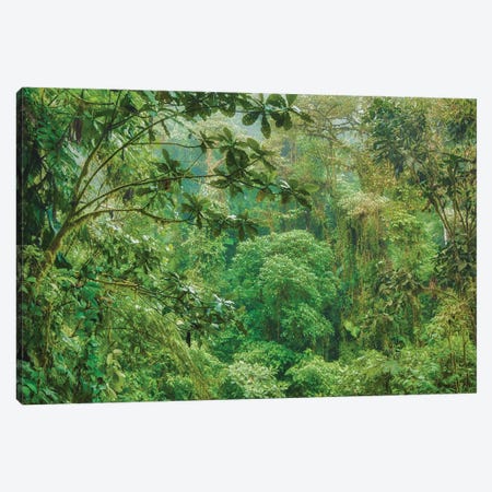 Jungle In The Andes Canvas Print #PAU218} by Mark Paulda Canvas Art