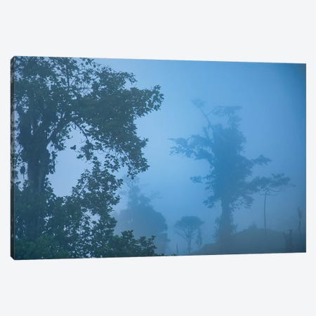 Blue Hour In The Andes Canvas Print #PAU219} by Mark Paulda Canvas Wall Art