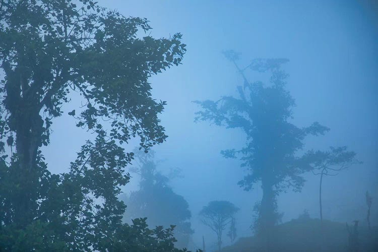 Blue Hour In The Andes