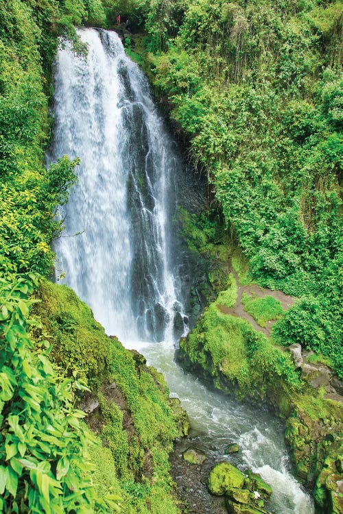 Jungle Waterfall