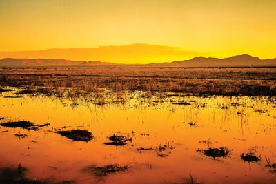 Western Sunset by Mark Paulda art print