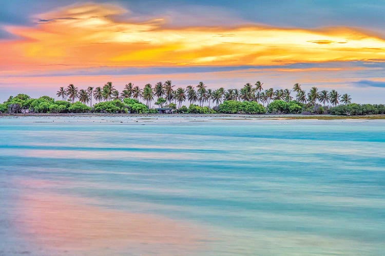 Paradise Palm Island by Mark Paulda wall art