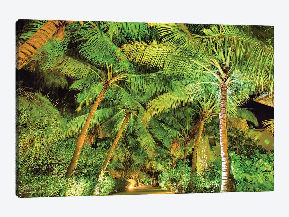 Palm Tree Path by Mark Paulda 1-piece Canvas Art