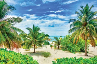 Tropical Paradise by Mark Paulda art print