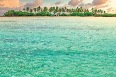 Paradise Sunset by Mark Paulda art print