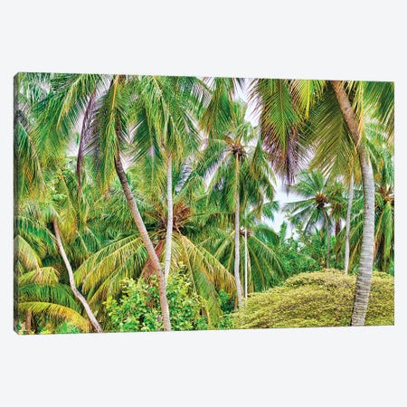 Palm Paradise Canvas Print #PAU240} by Mark Paulda Canvas Art Print