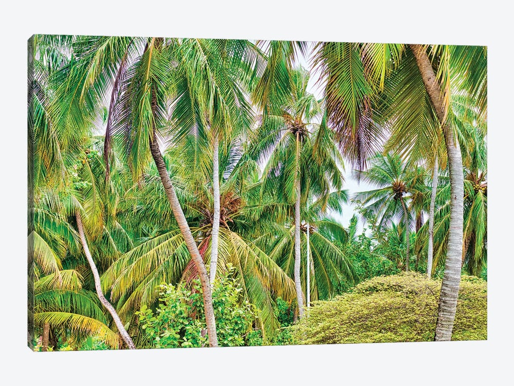 Palm Paradise by Mark Paulda 1-piece Art Print