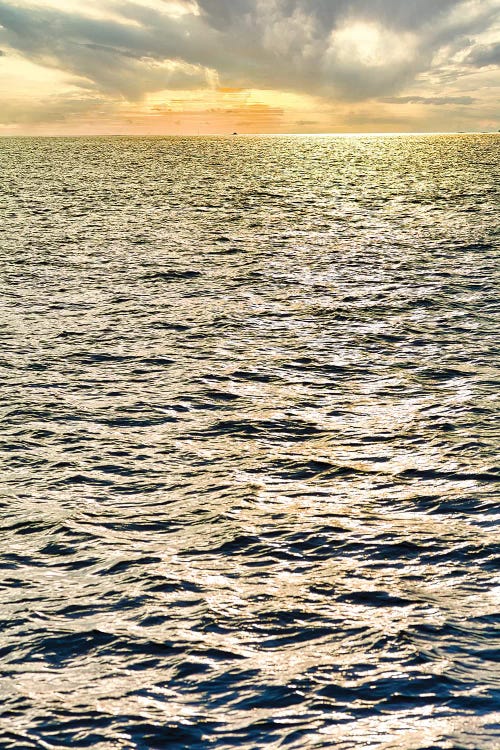 Sunset Waters by Mark Paulda wall art