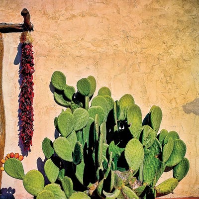 Prickly Pear and Chillis by Mark Paulda art print