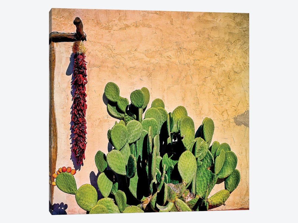 Prickly Pear and Chillis by Mark Paulda 1-piece Canvas Artwork
