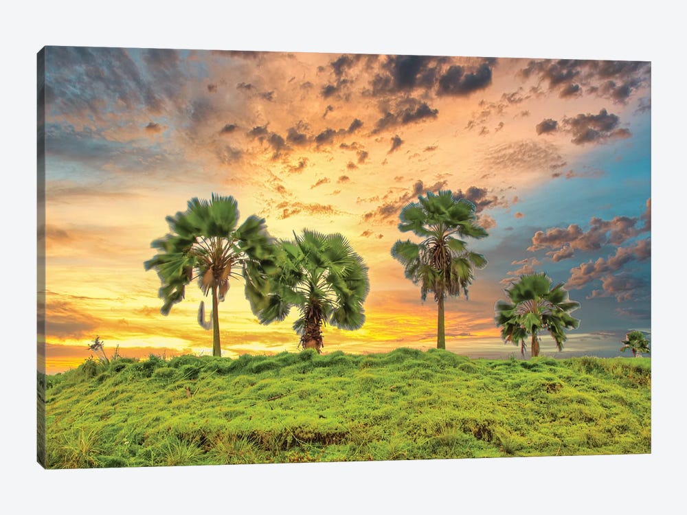 Palms At Sunset by Mark Paulda 1-piece Canvas Wall Art
