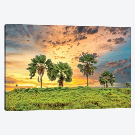 Palms At Sunset Canvas Print #PAU263} by Mark Paulda Art Print