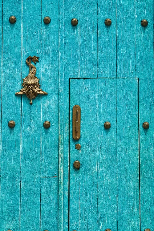 Dragon Door by Mark Paulda wall art