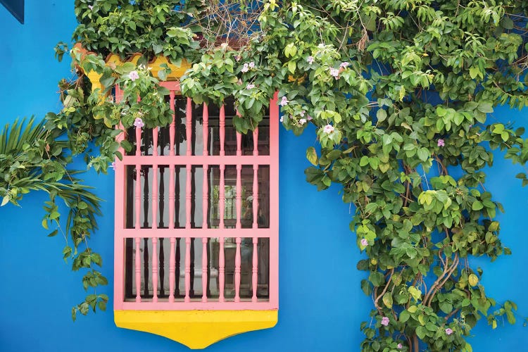 Window Of Hope by Mark Paulda wall art