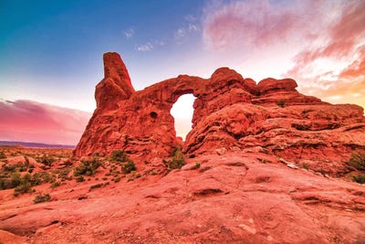 Natural Desert Arch by Mark Paulda framed wall art