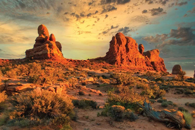 Another Day by Mark Paulda wall art