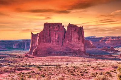 Desert Orange by Mark Paulda framed wall art