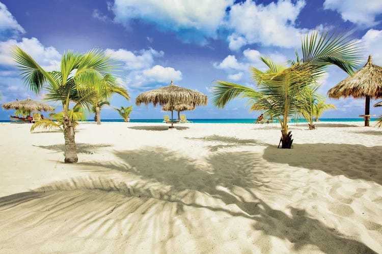 Palm Shadows by Mark Paulda wall art