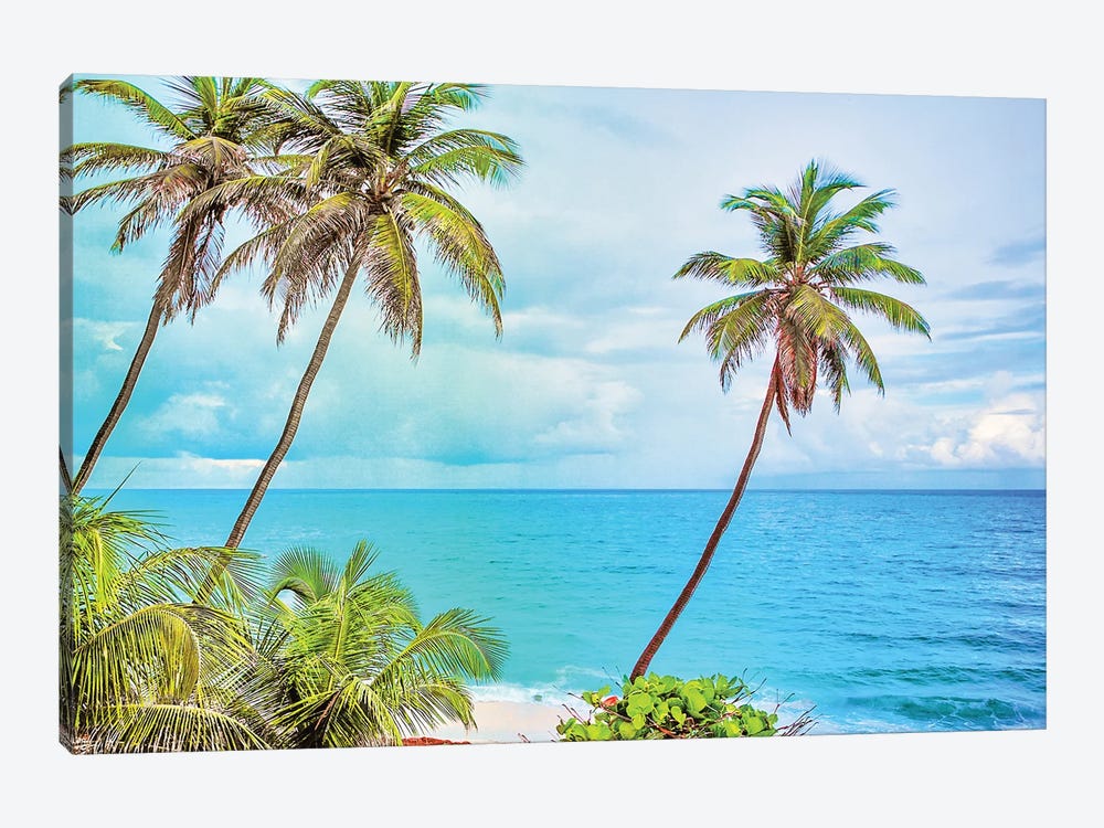 Caribbean Palms by Mark Paulda 1-piece Canvas Artwork