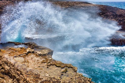 Water Blow by Mark Paulda framed wall art