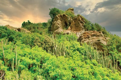 Rocky St Barths by Mark Paulda framed wall art