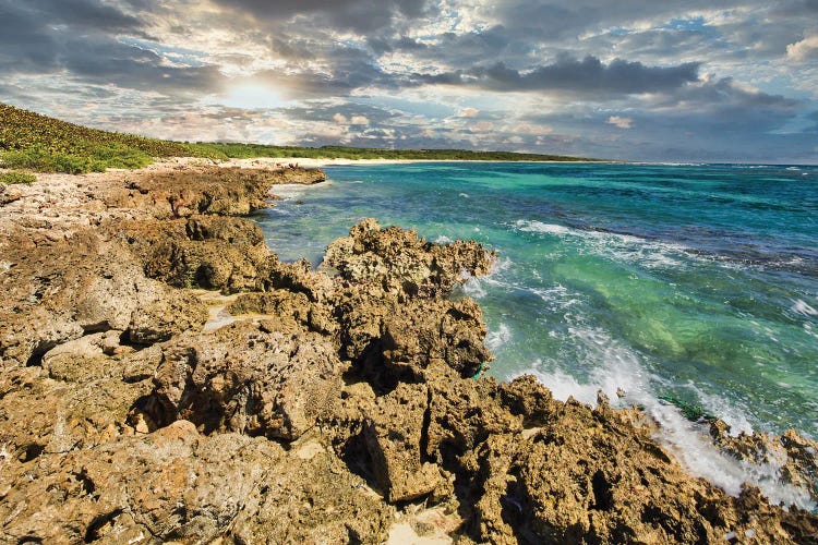 Caribbean Shore by Mark Paulda wall art