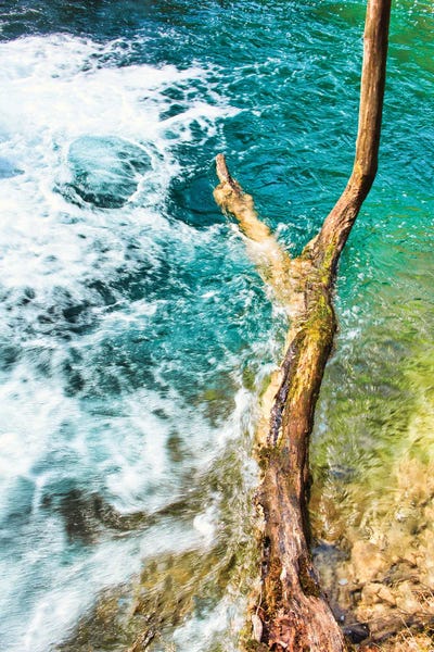 Standing Firm by Mark Paulda framed wall art