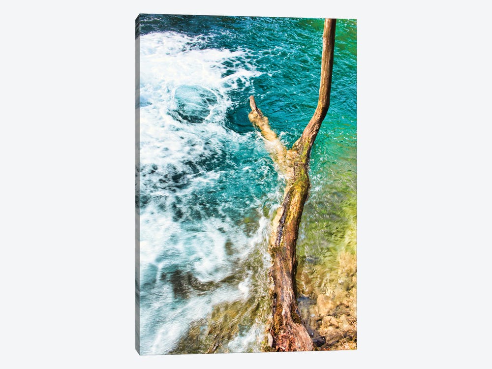 Standing Firm by Mark Paulda 1-piece Canvas Print