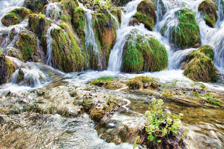 Plitvice Lakes National Park by Mark Paulda wall art