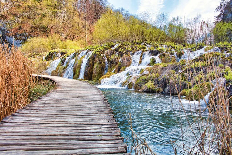 Plitvice Lakes by Mark Paulda wall art