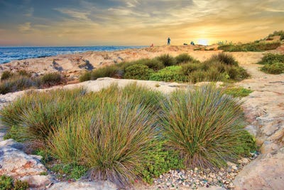 Malta Shore by Mark Paulda art print