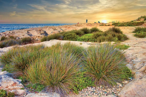 Malta: Malta Shore by Mark Paulda