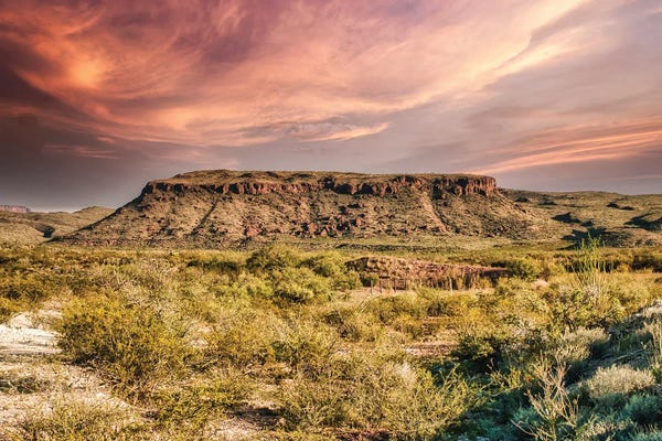 Canvas Print: Texas Simplicity by Mark Paulda