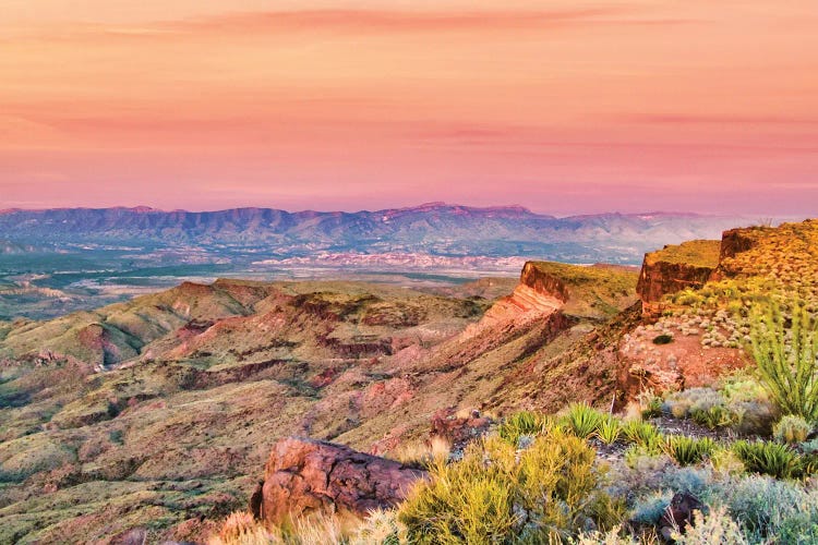 Good Morning Texas by Mark Paulda wall art