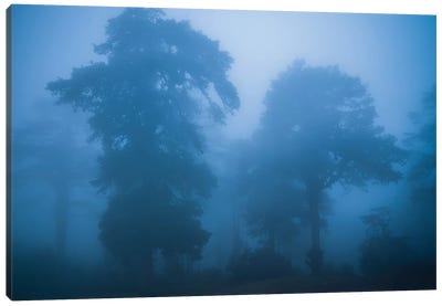 Bhutan Fog In The Himalayas I Canvas Art Print - Pantone 2020 Classic Blue