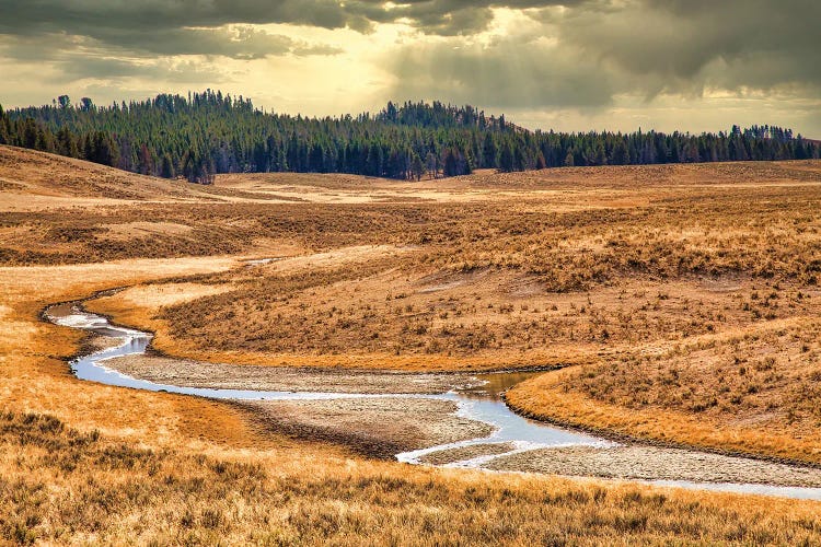 Meandering Stream by Mark Paulda wall art