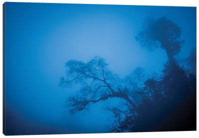 Bhutan Fog In The Himalayas II Canvas Art Print - Pantone 2020 Classic Blue