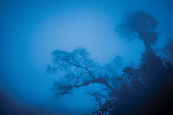 Bhutan: Bhutan Fog In The Himalayas II by Mark Paulda