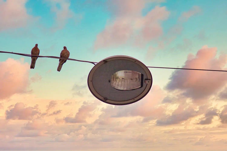 Birds On A Wire